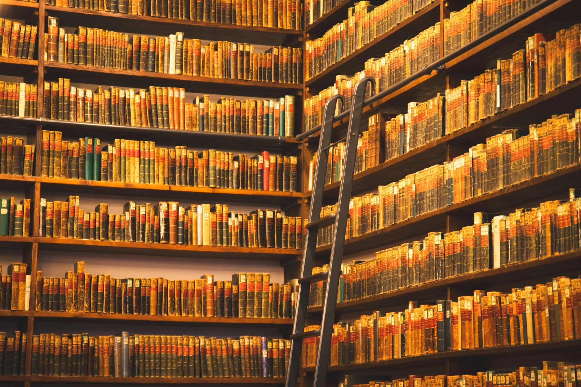 Dark ladder on a rail in front of a wall of old books